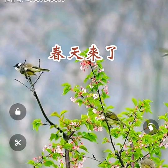 冰糖葫芦!