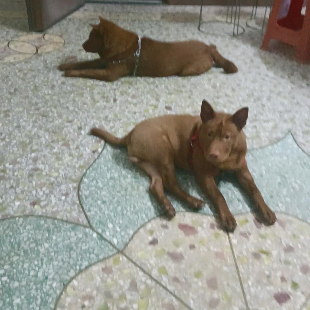 知足常乐🌈🌈