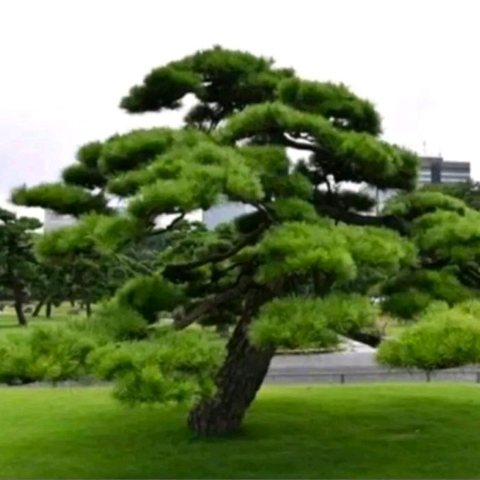 热爱生活的小赵