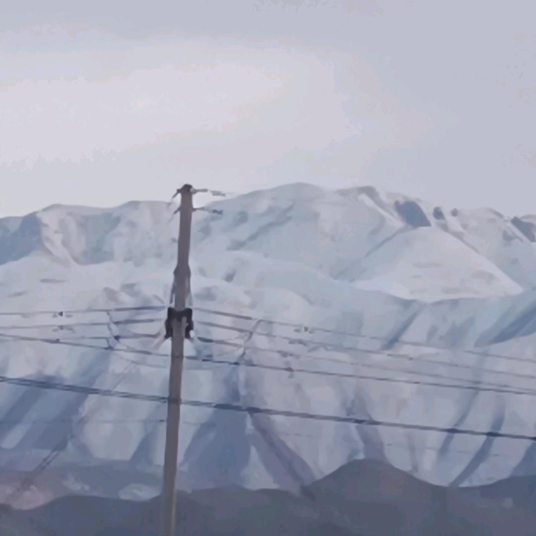 飞妹