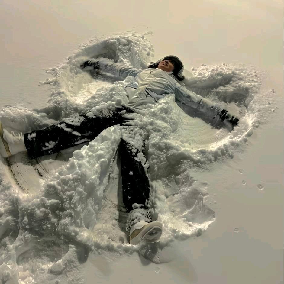 心脏瓣膜