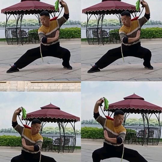 华子花鞭