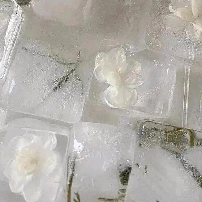 彭—HAN