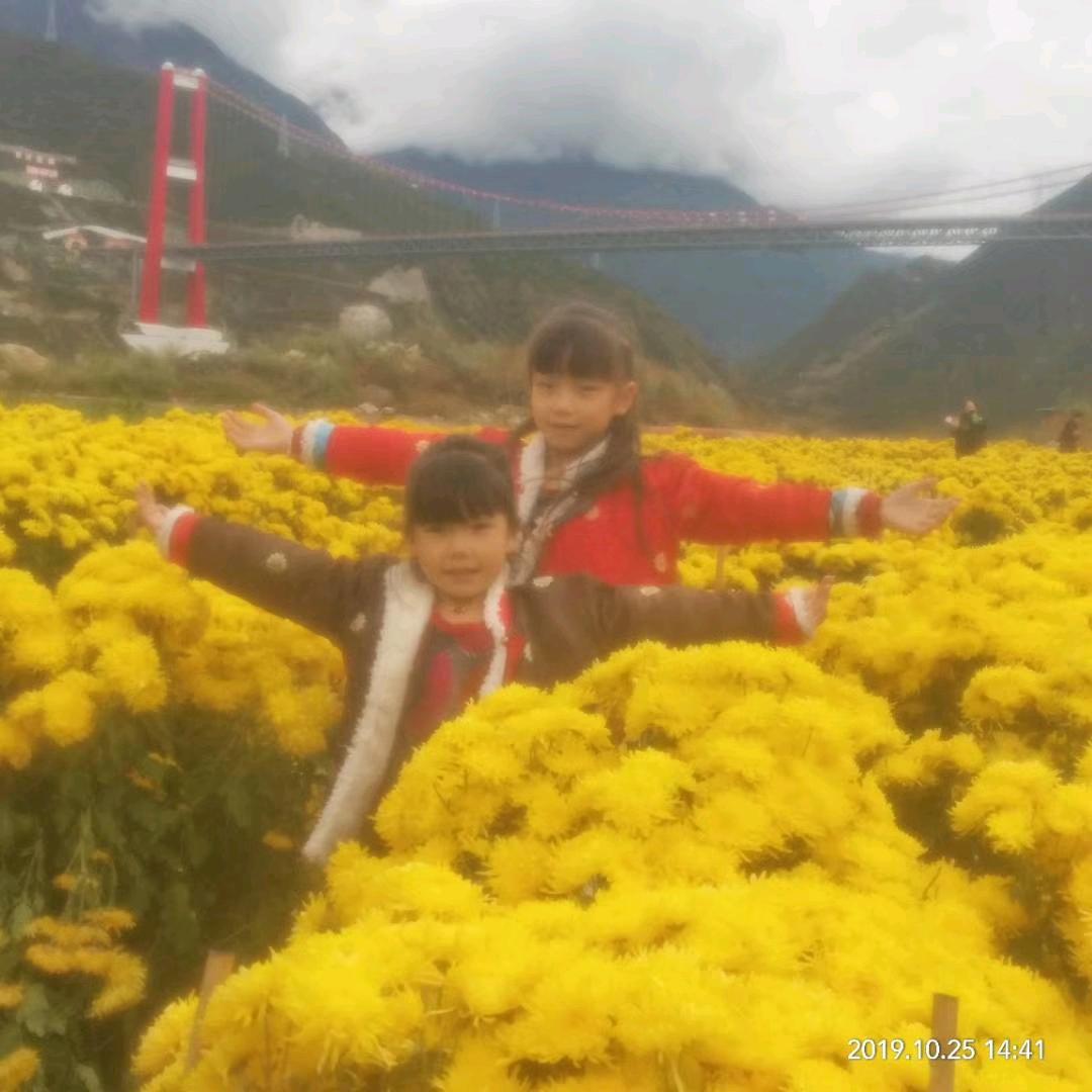 用户七零后的农民工