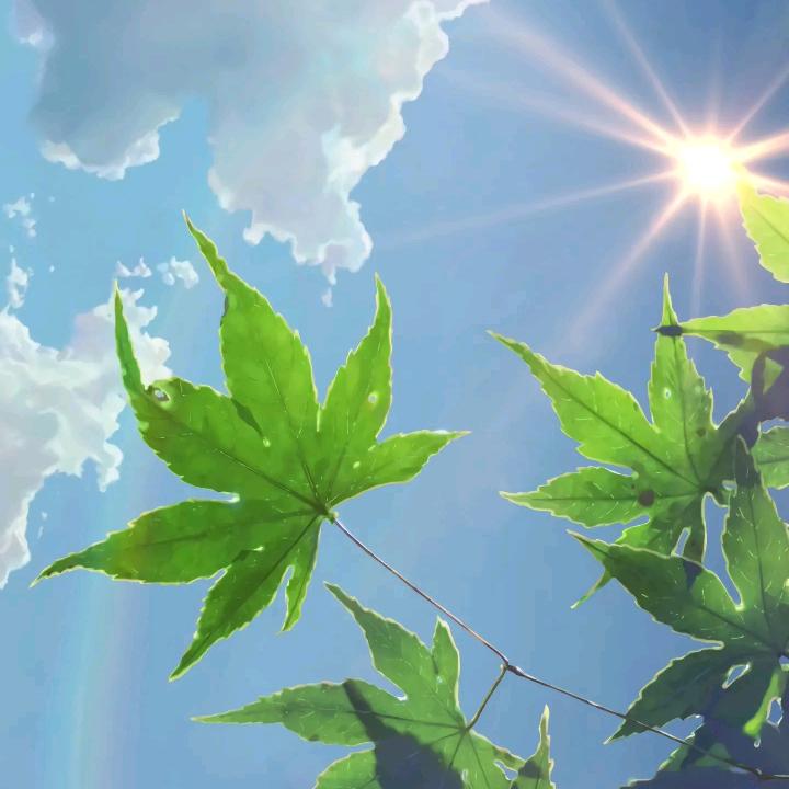 莘月小百货