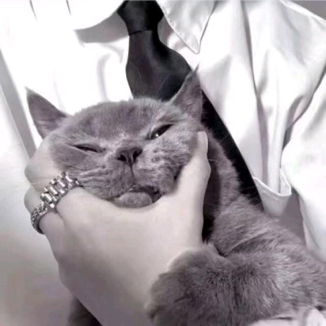 （｡ò ∀ ó｡）