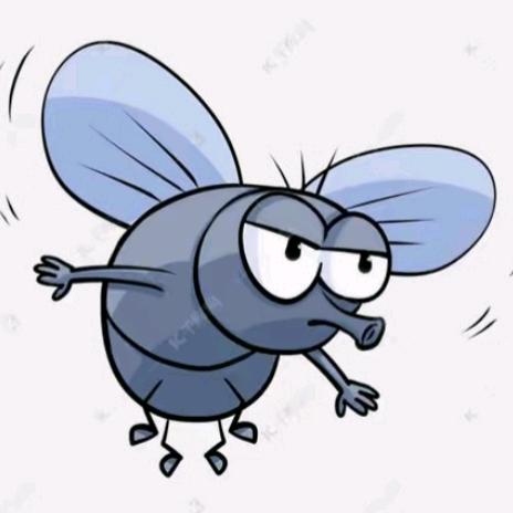 小嗡学长（金职大）