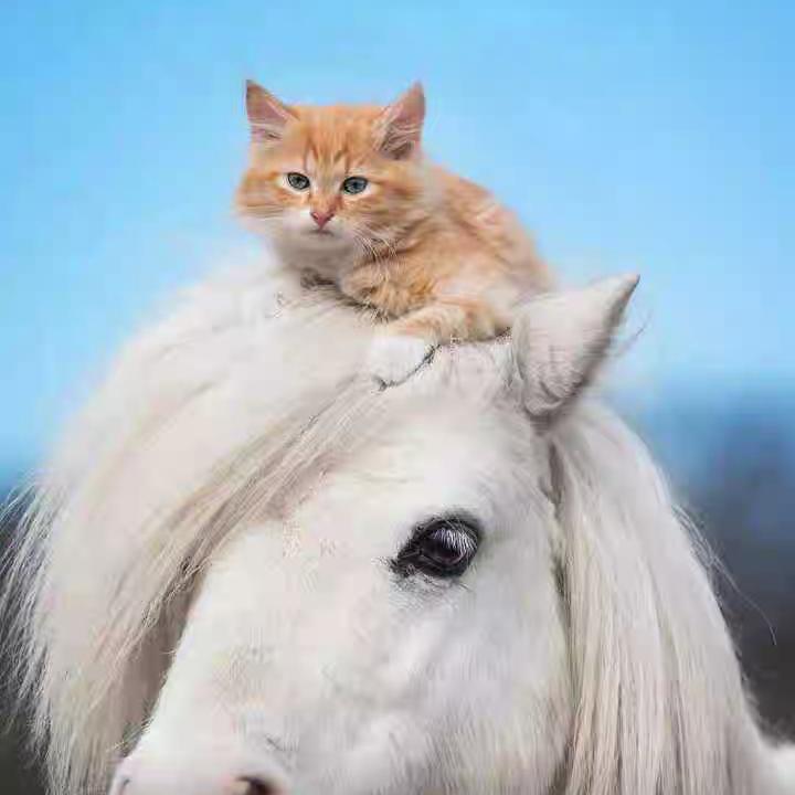 明姐吃喝玩乐购