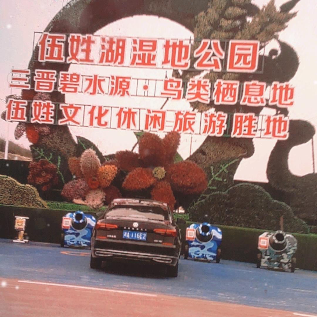 点点点增长