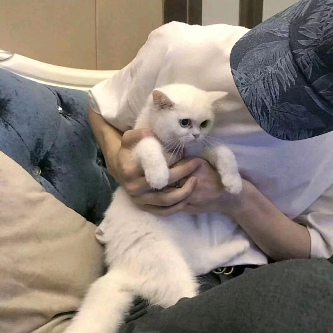 AL