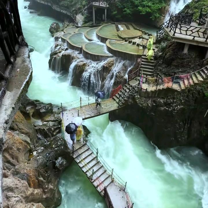 小蝌蚪