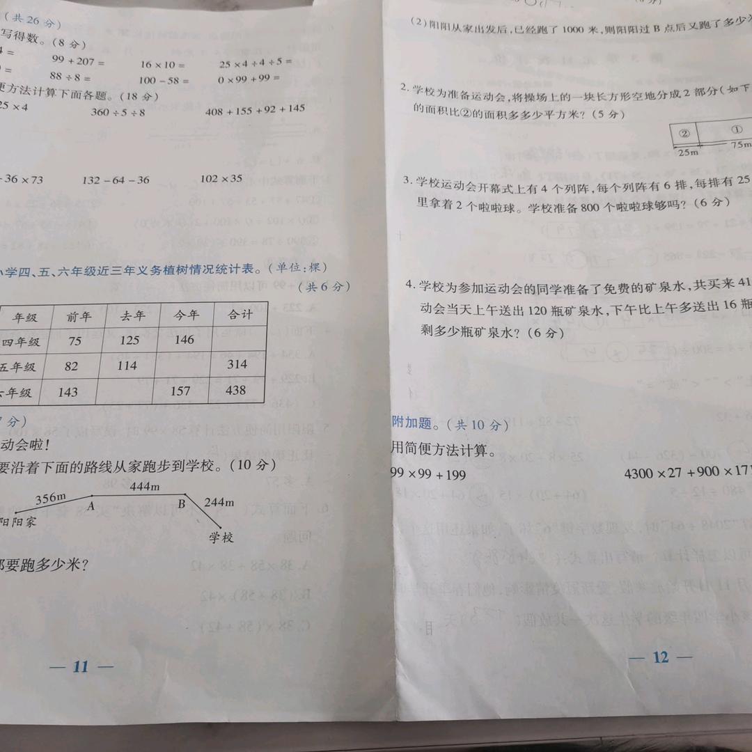 农村胖丫