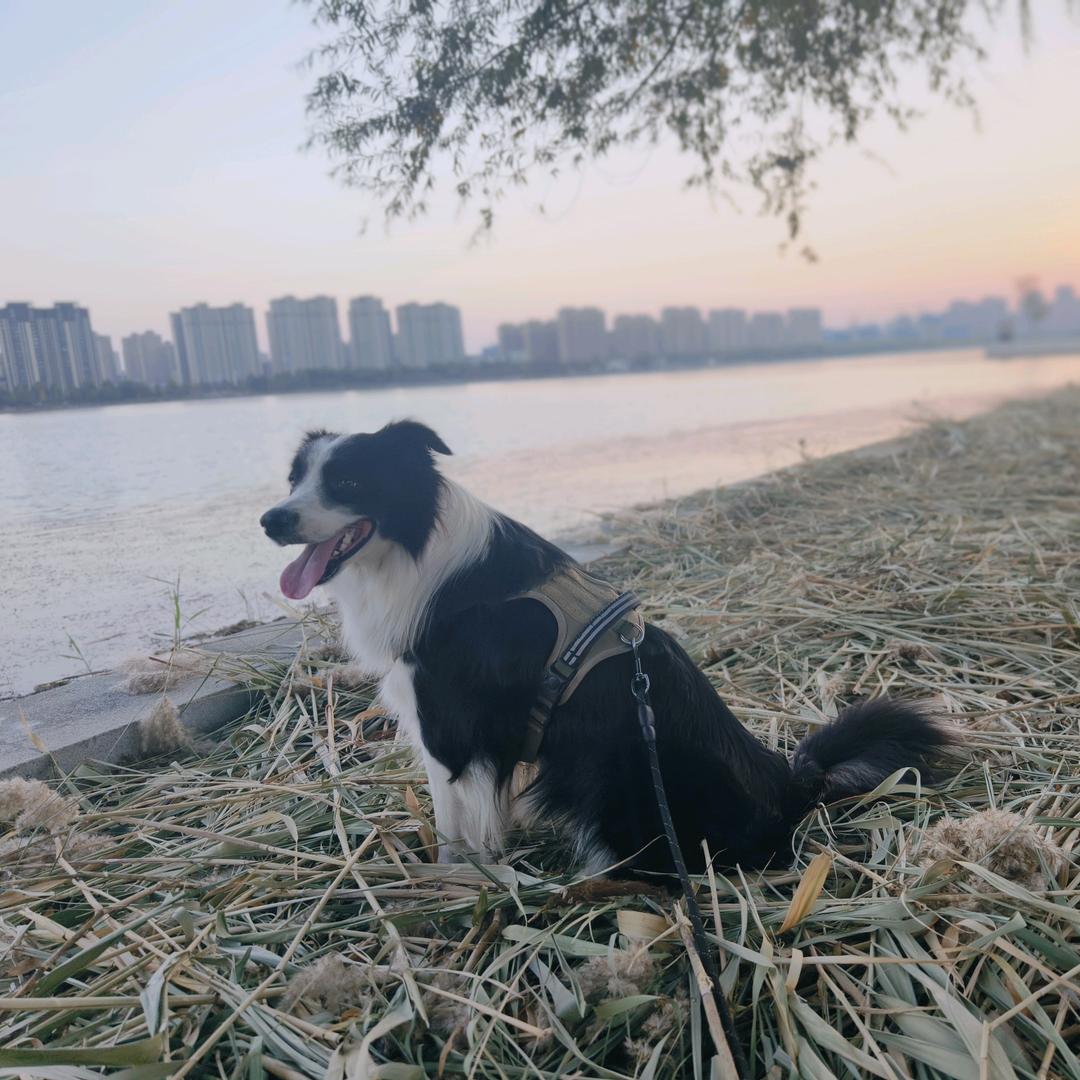 夢海有嬌人