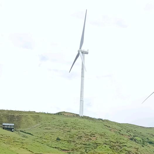 彩票中大奖就改名