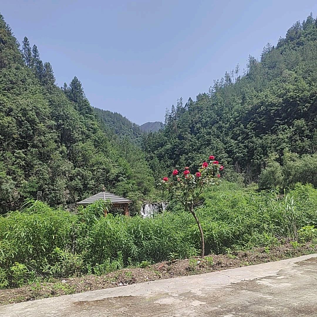 洪福权庄园