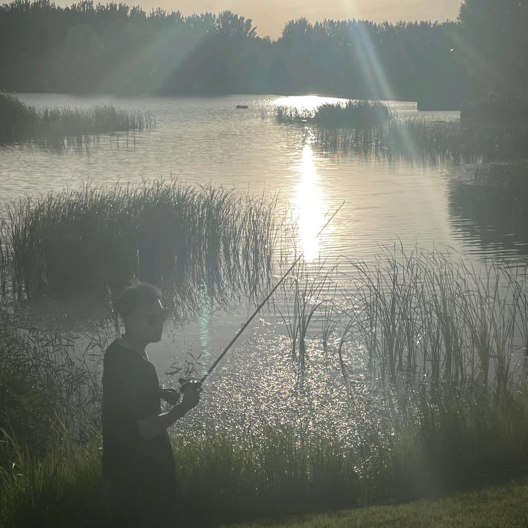 🎣