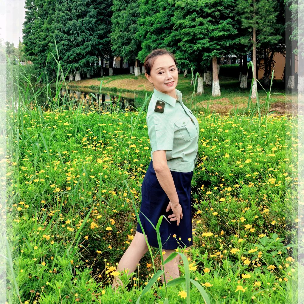 雨田每文