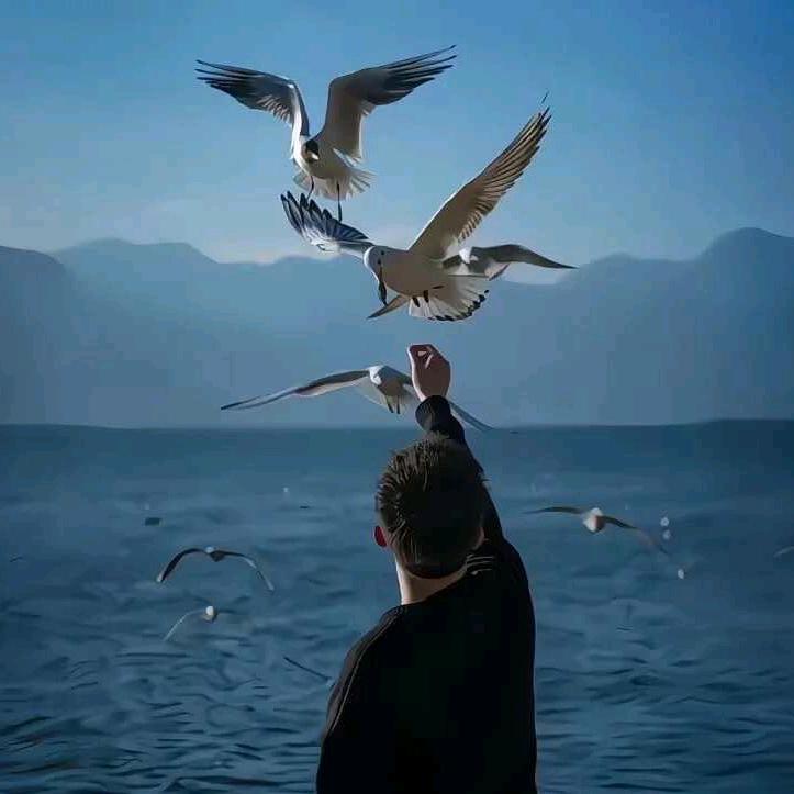 程湘记长沙臭豆腐