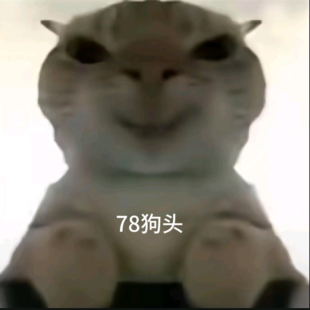 绿洲滴滴（鼠鼠）