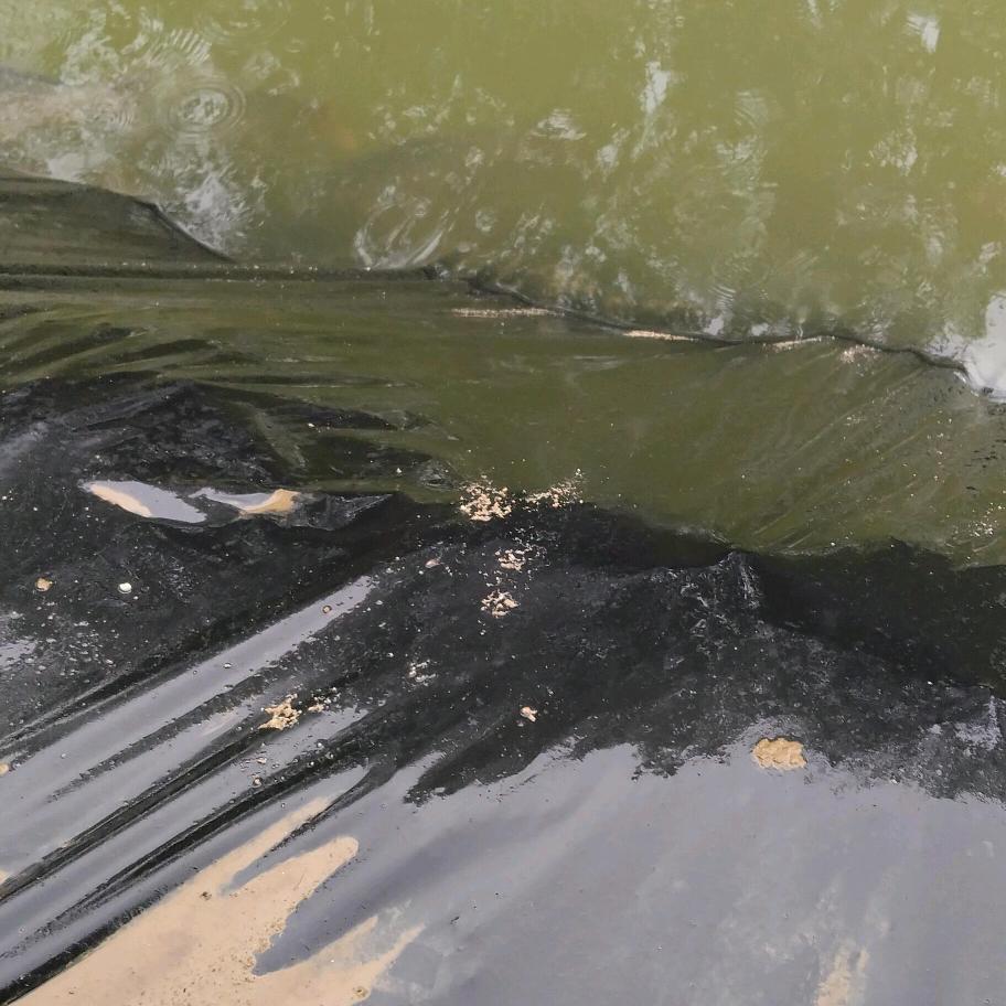 汪店西寨门钓鱼休闲娱乐