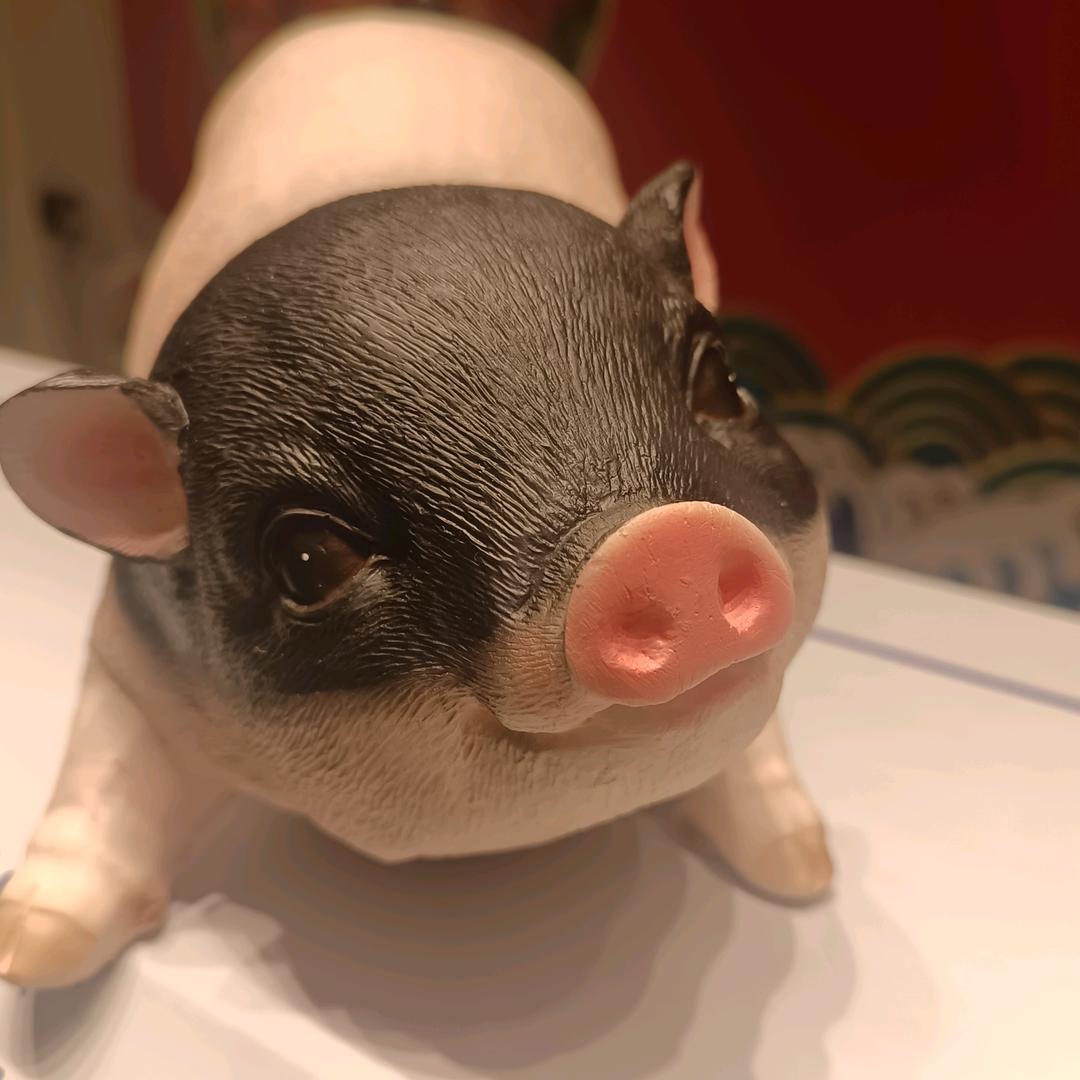桂人多忘事