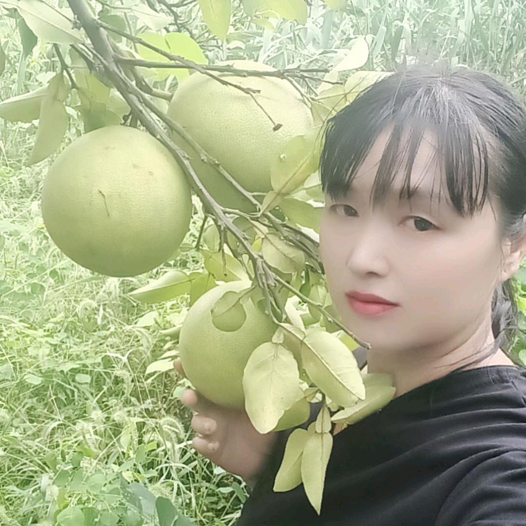 平淡是真
