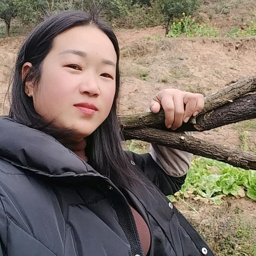 杨菊