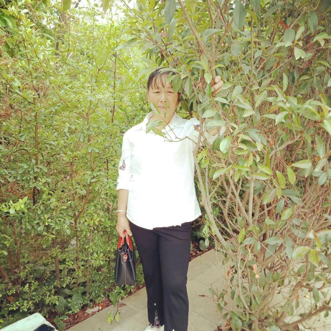 全家逍遥