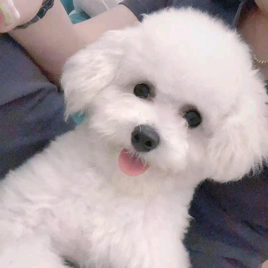 糖糖有点甜