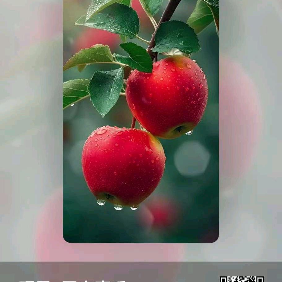 硕果累累