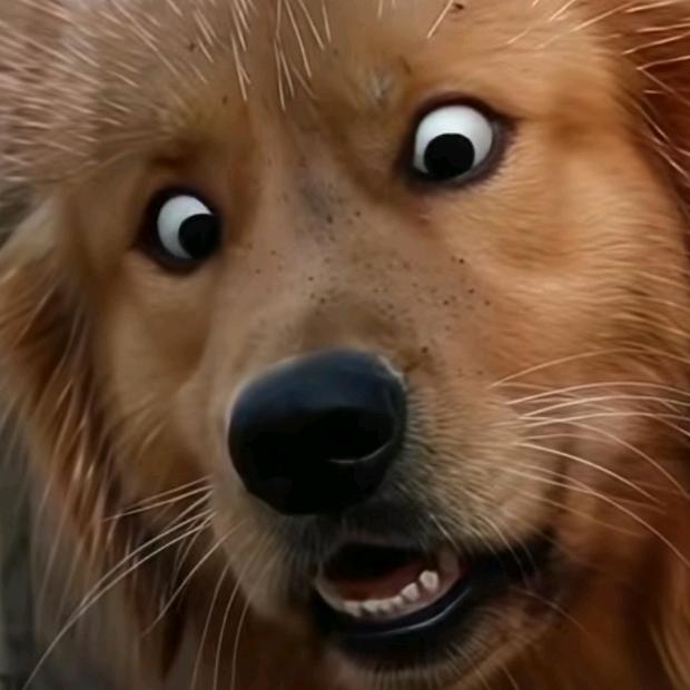 ⚔️🎎幽ོྂཾ梦🎎⚔️