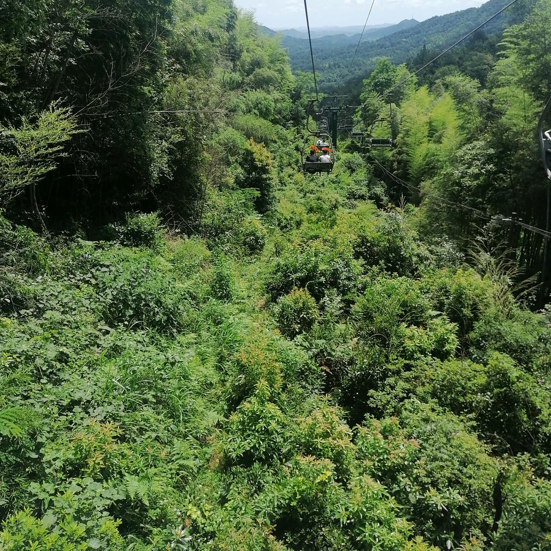 老李