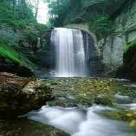 忻怡家庭私房水饺～馄饨外卖