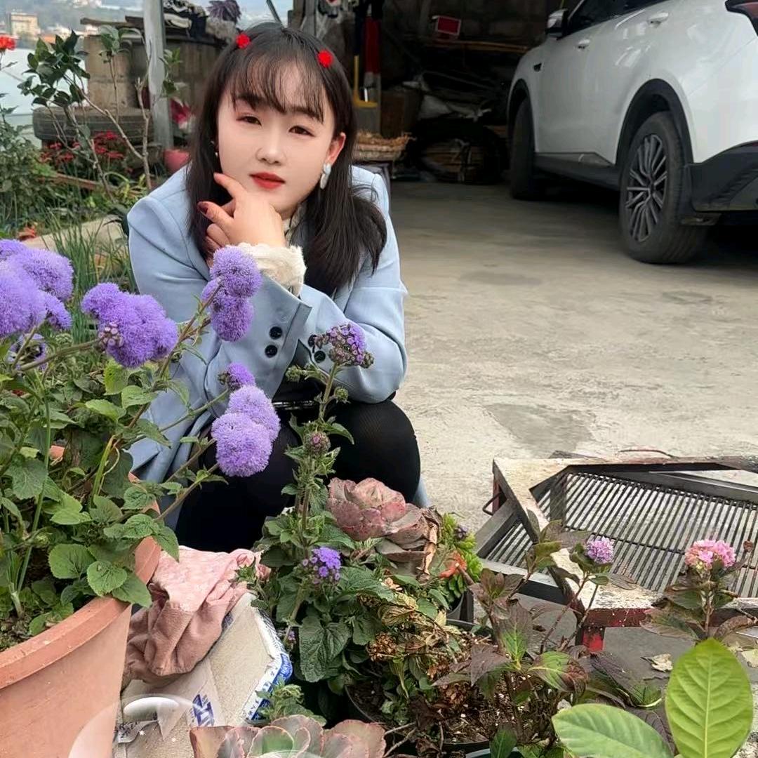 胖妹