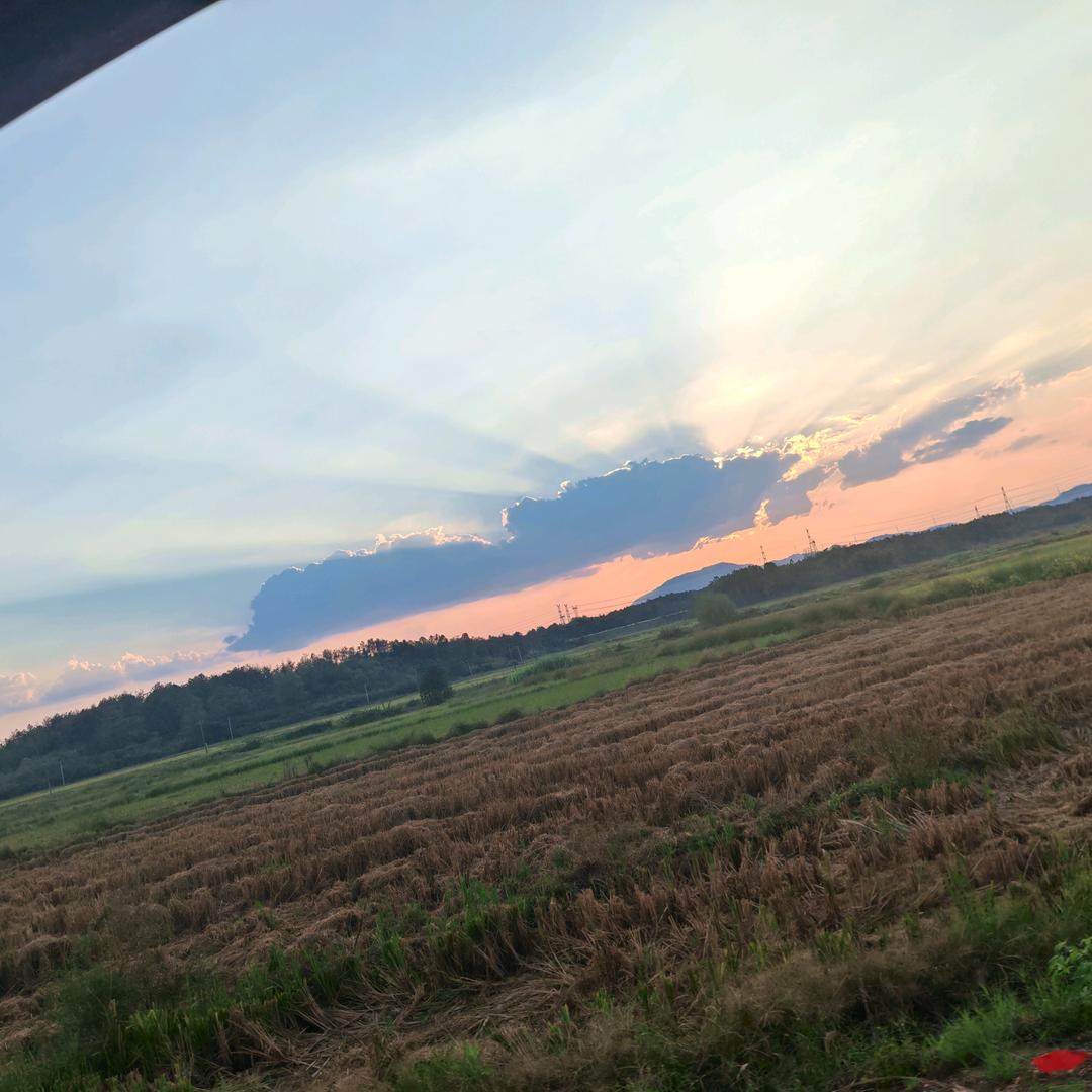 修车小伙VS铁板鱿鱼