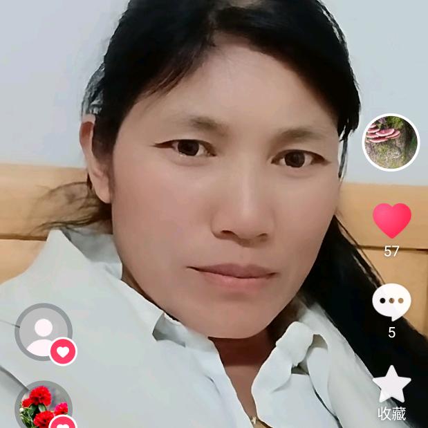 追寻。