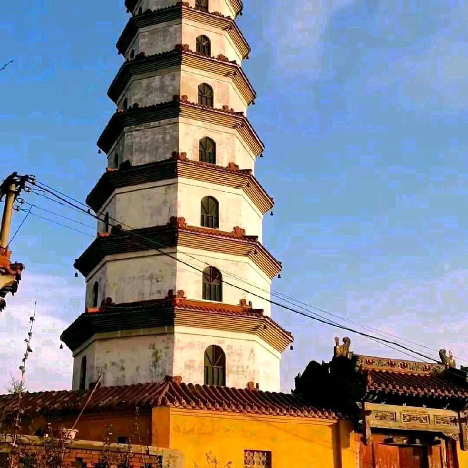 海纳百川65年蛇