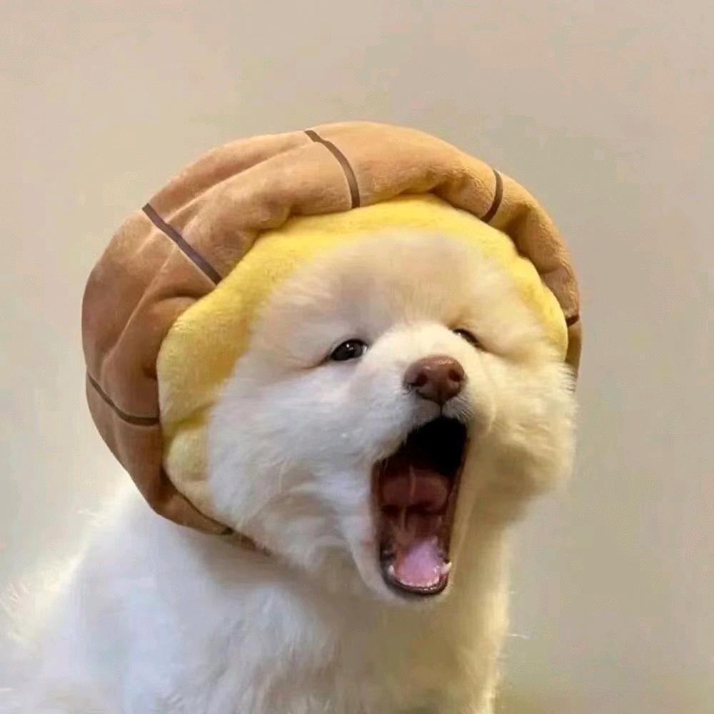 小米辣不辣