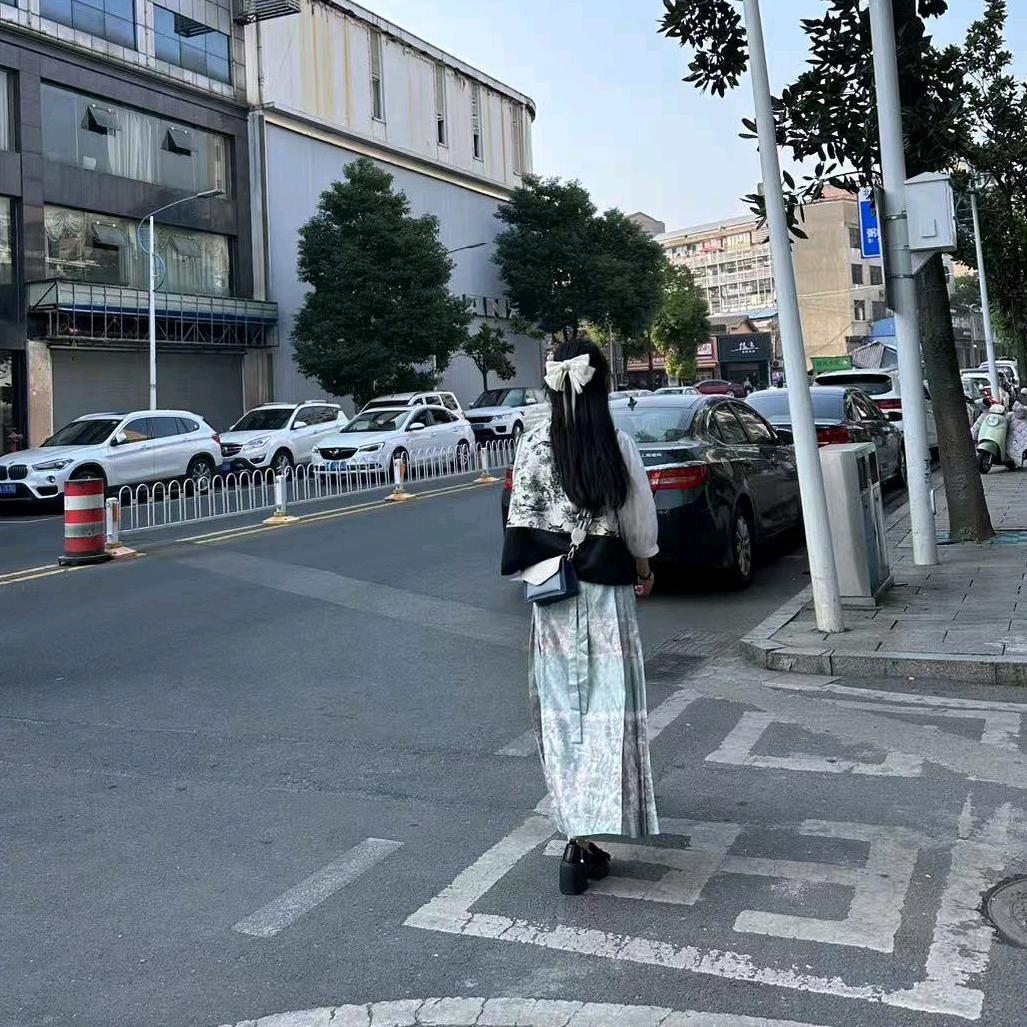 蜉蝣