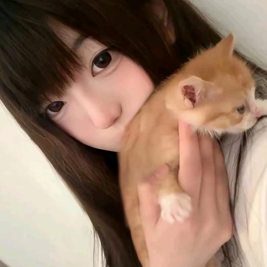 ㅤ  ʚ ɞ