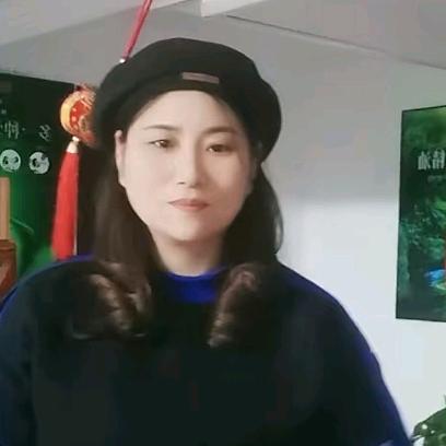 海燕高飞