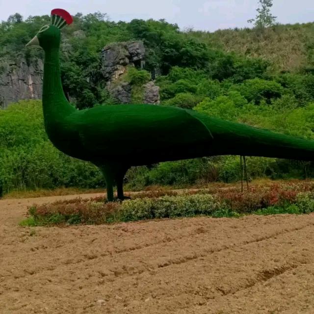 开心