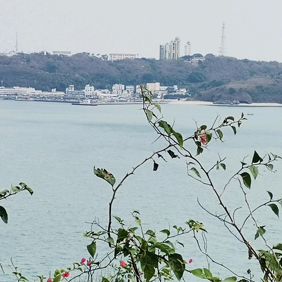 小胡芦