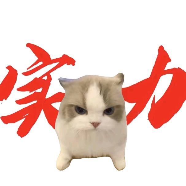 开头像