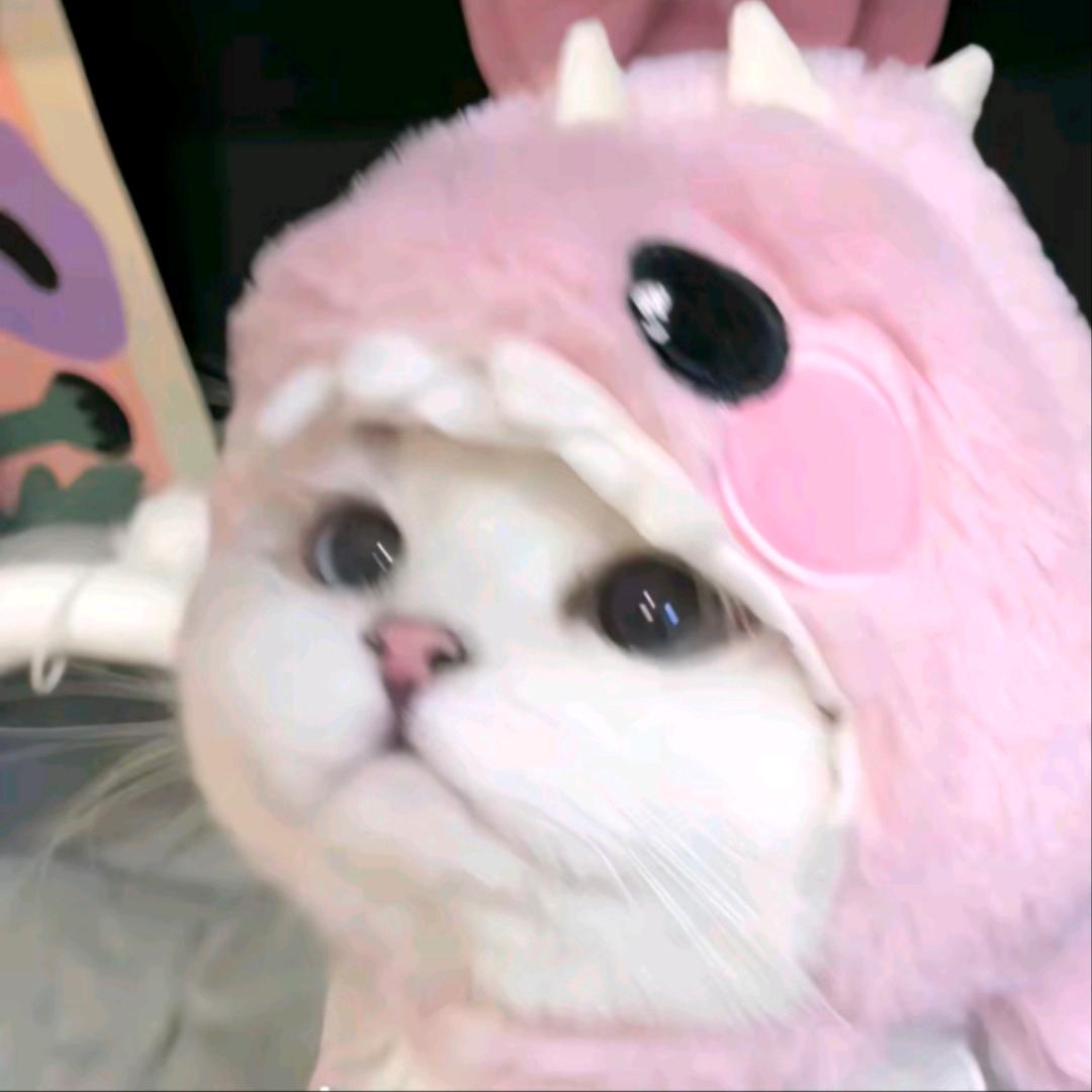 霜绛