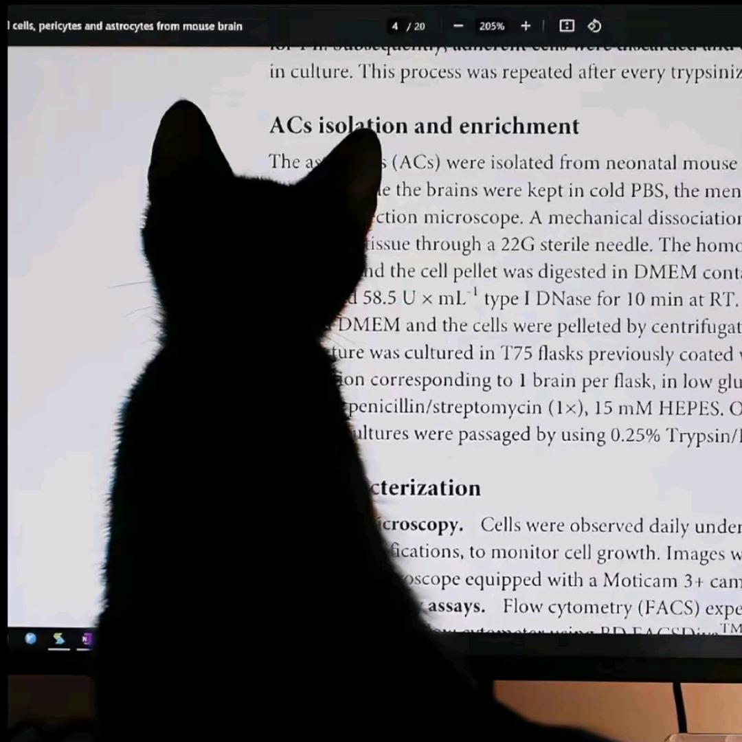 你说临沂常有雨.