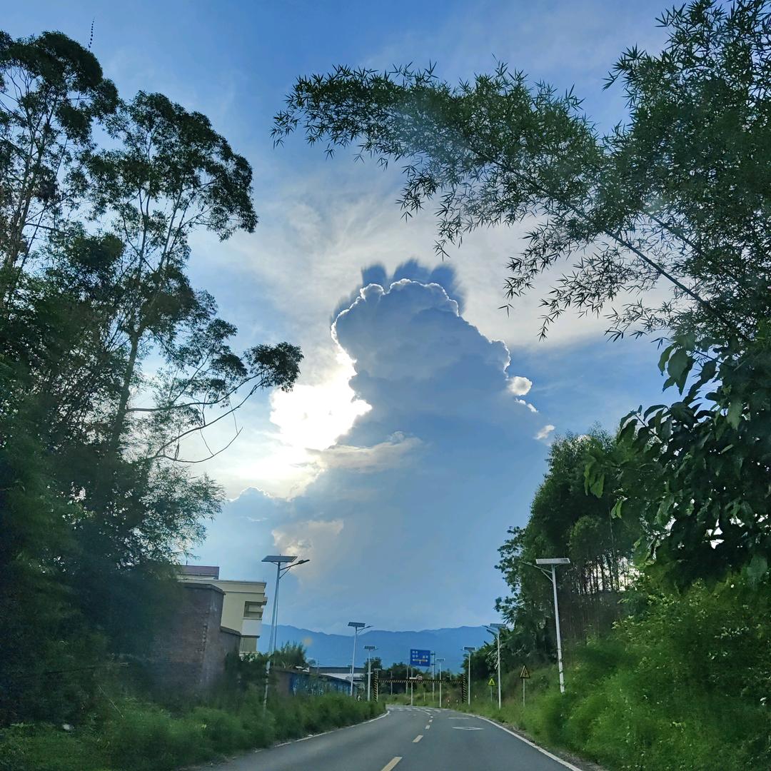 愙歖
