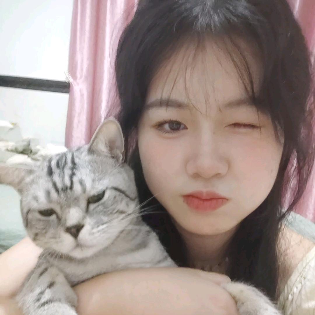 十九是只喵吖