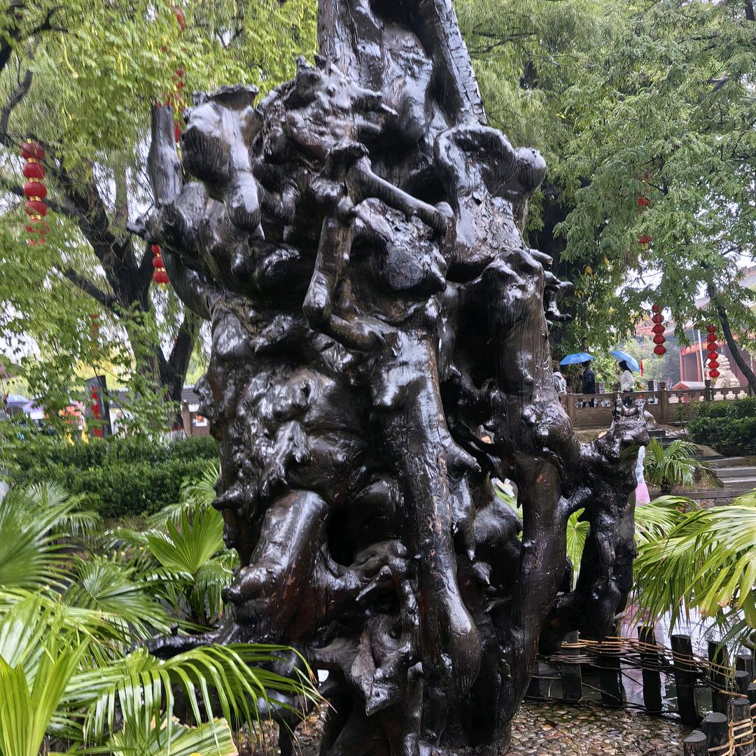 自驾318