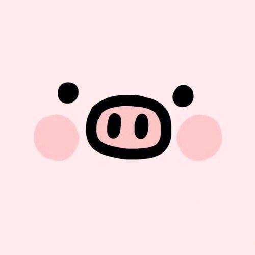 萌宠甄选